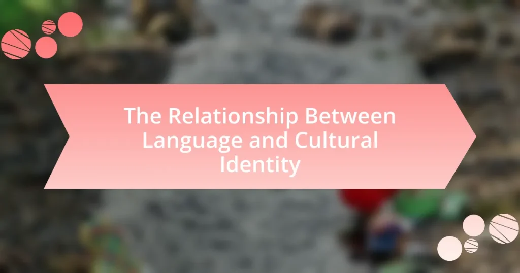 The Relationship Between Language and Cultural Identity