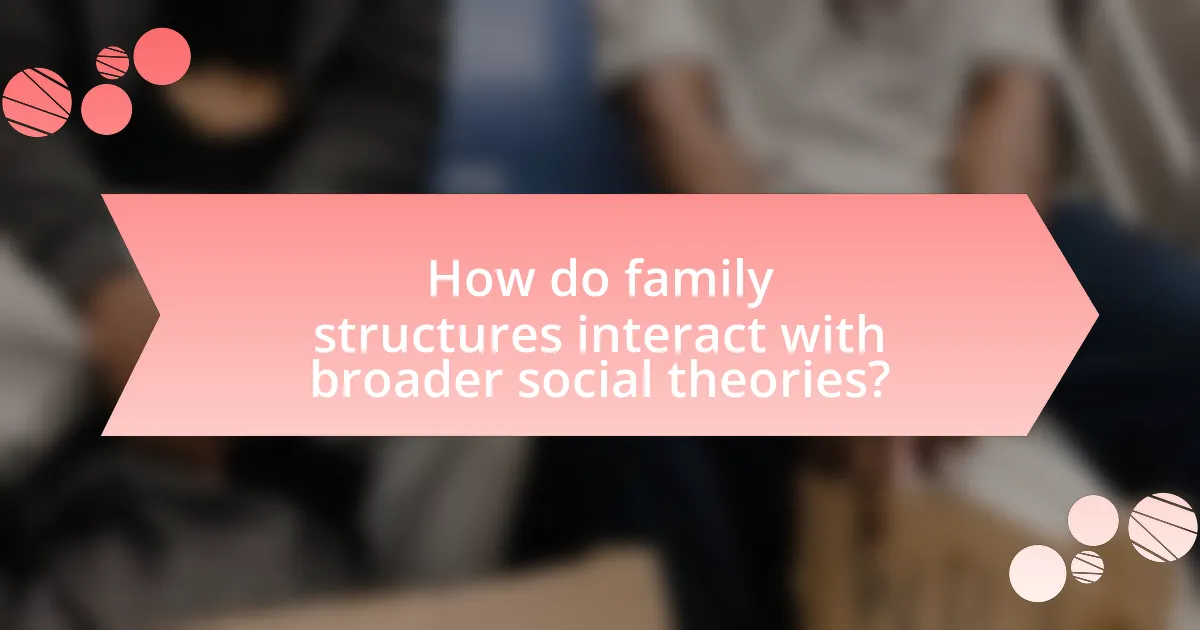 How do family structures interact with broader social theories?