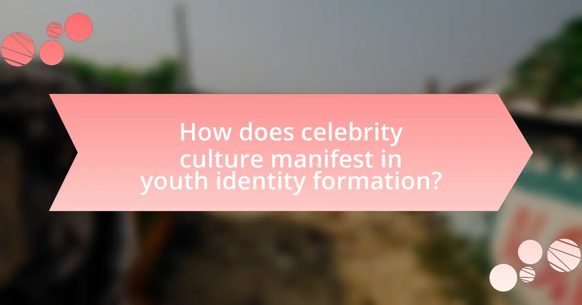 How does celebrity culture manifest in youth identity formation?