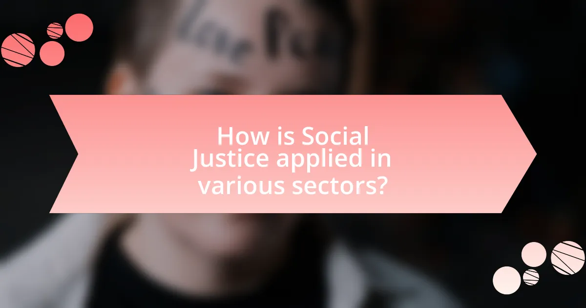 How is Social Justice applied in various sectors?