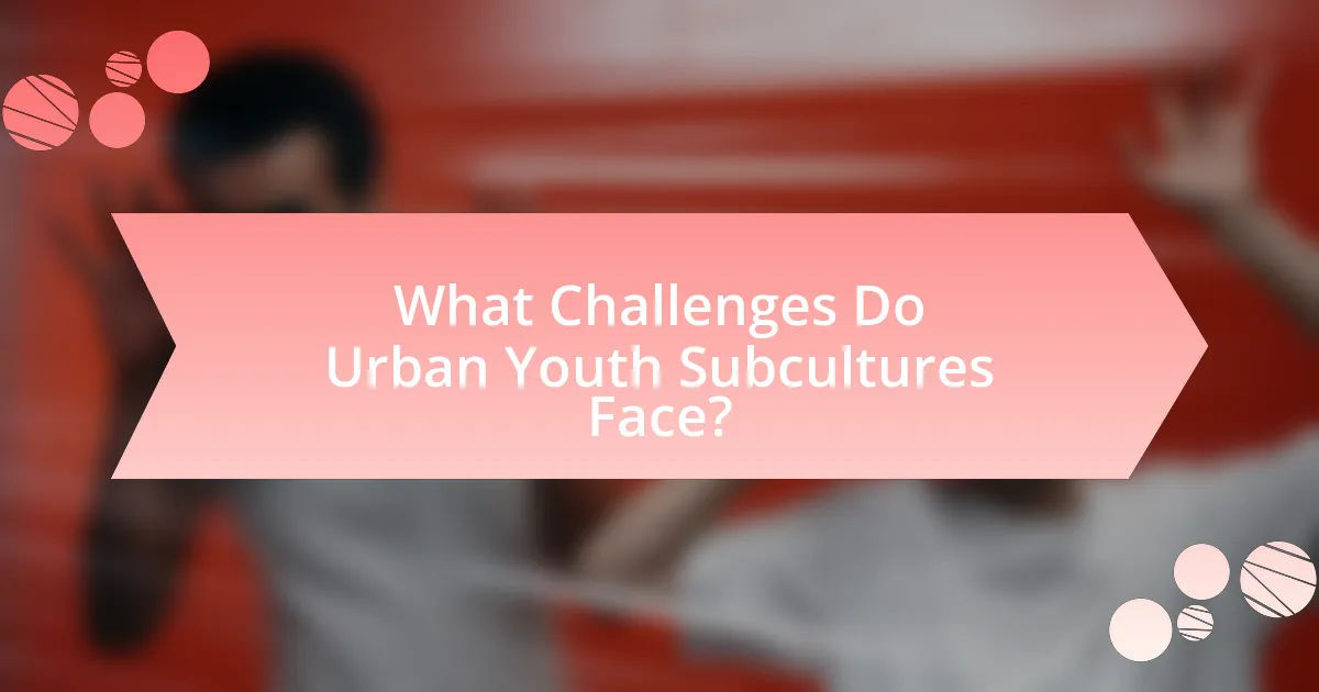 What Challenges Do Urban Youth Subcultures Face?