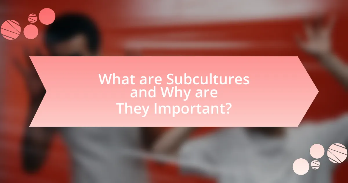 What are Subcultures and Why are They Important?