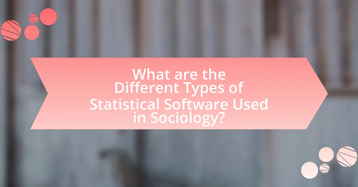 What are the Different Types of Statistical Software Used in Sociology?