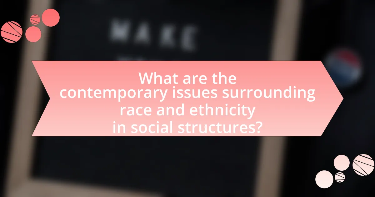 What are the contemporary issues surrounding race and ethnicity in social structures?