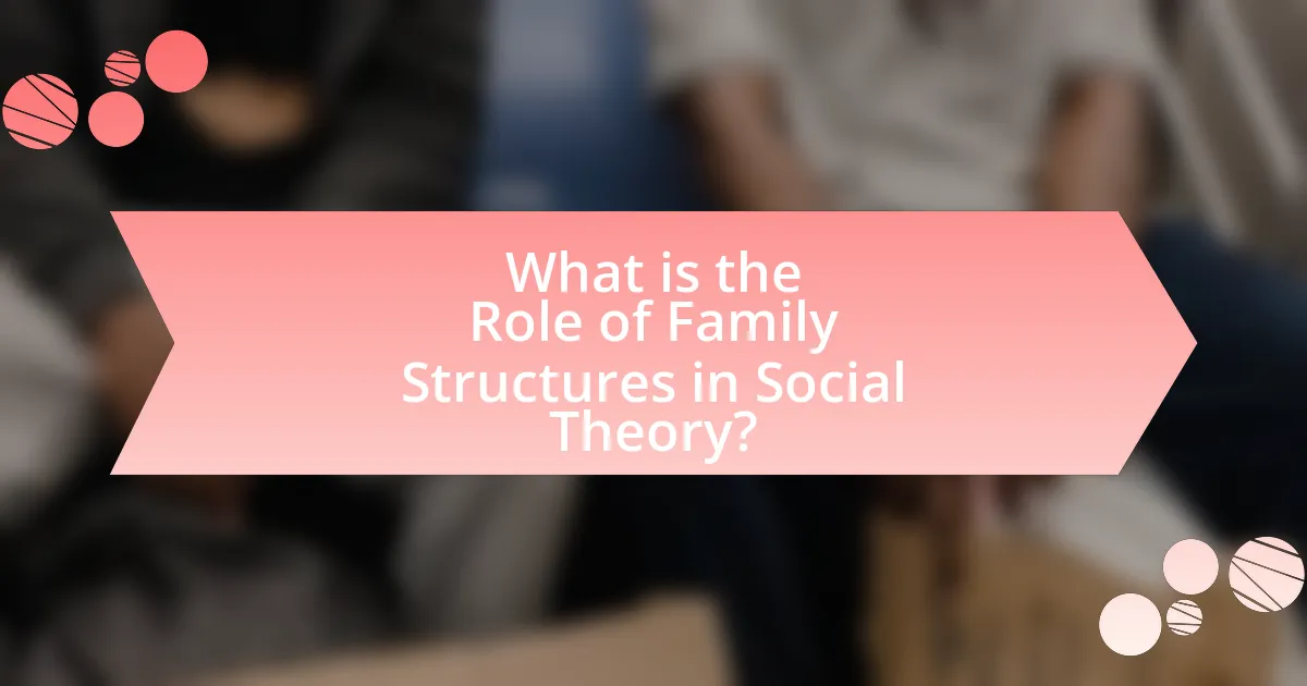 What is the Role of Family Structures in Social Theory?