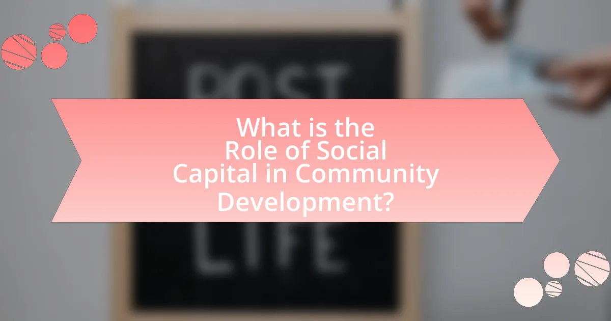 What is the Role of Social Capital in Community Development?
